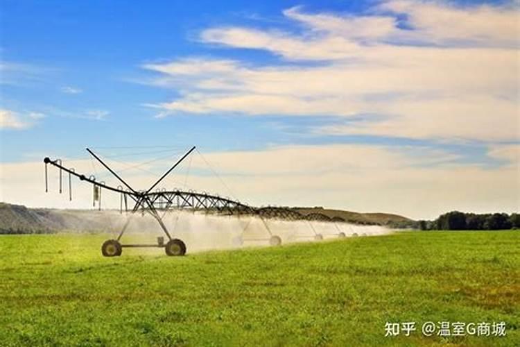 种玉米立杆喷灌适合水肥一体化吗