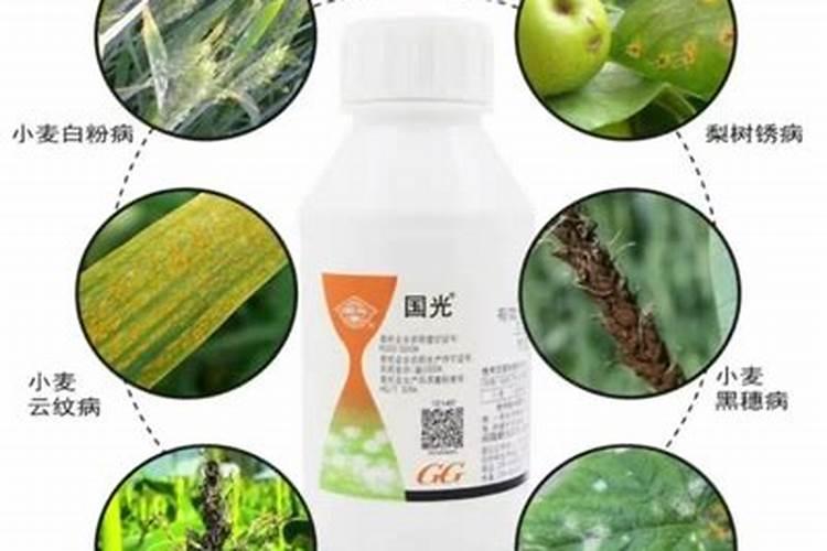 广谱性杀菌剂有哪些