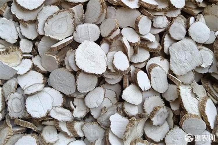 白芷的种植方法及条件