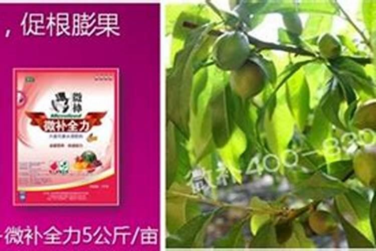 怎么给植物补钾效果好？