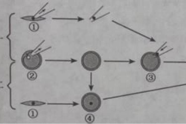 磷肥是什么颜色的粉末
