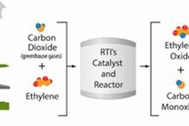 红薯苗正确浇水方法红薯苗如何正确浇水方法
