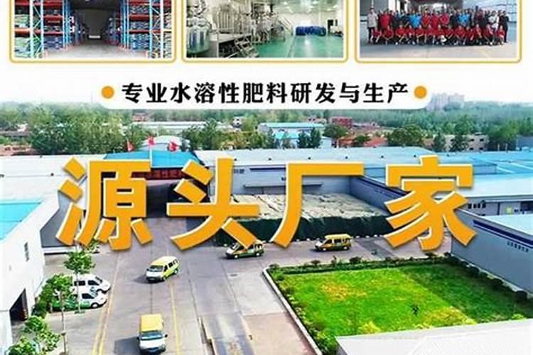 竹子施肥用什么肥料 竹子施肥用哪些肥料