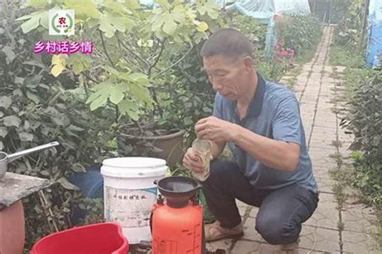 花生打叶面肥重毒了怎么办？