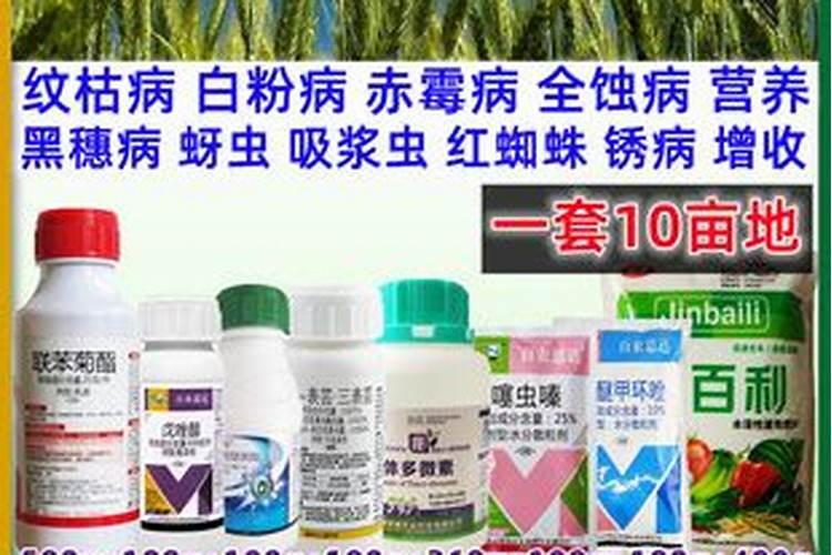 小麦叶面肥什么牌子最好