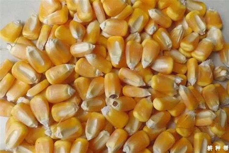 玉米苗后用什么叶面肥最佳？？