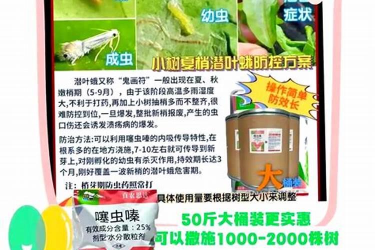 蓟马最怕的三种药(黄瓜玉米蓟马用什么农药效果最好)