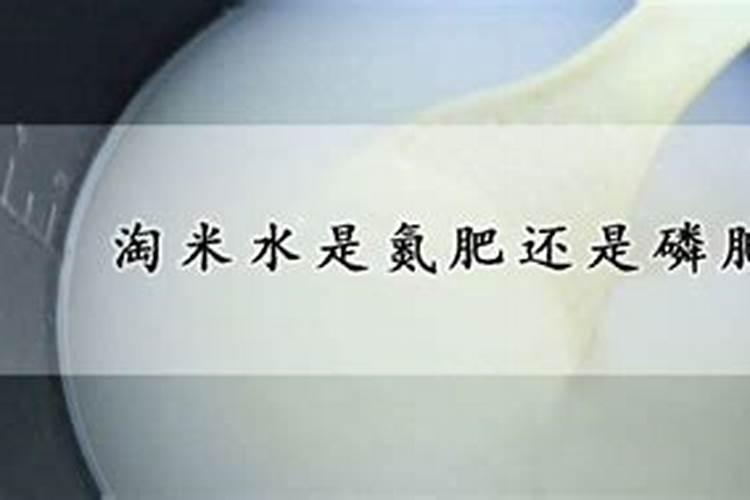 三角梅用什么土最好