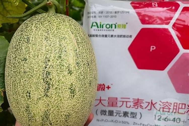 甜瓜膨大期用什么肥好