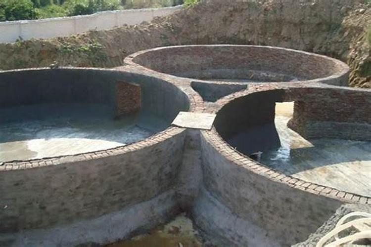 饲养鸡的时候会有什么碳排放