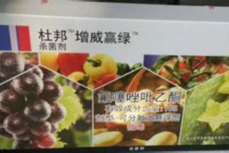 增威赢绿易保能防治软腐病吗