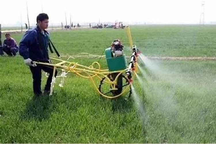 萘乙酸,杀菌药,叶面肥能一块用吗？