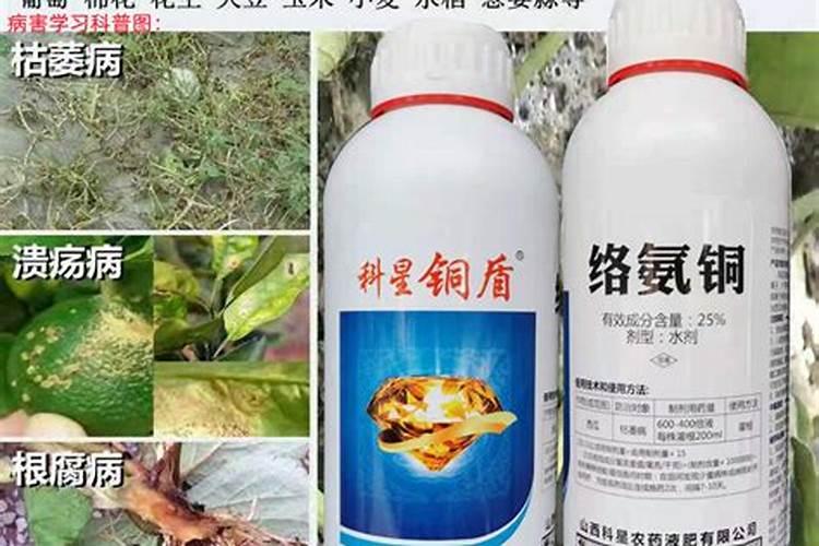 甲霜恶霉灵和柠铜络氨铜,吲诱素,矿源腐酸钾能一起用吗