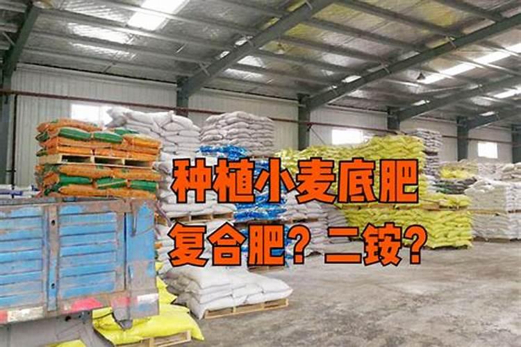 二铵和复合肥哪个肥效好