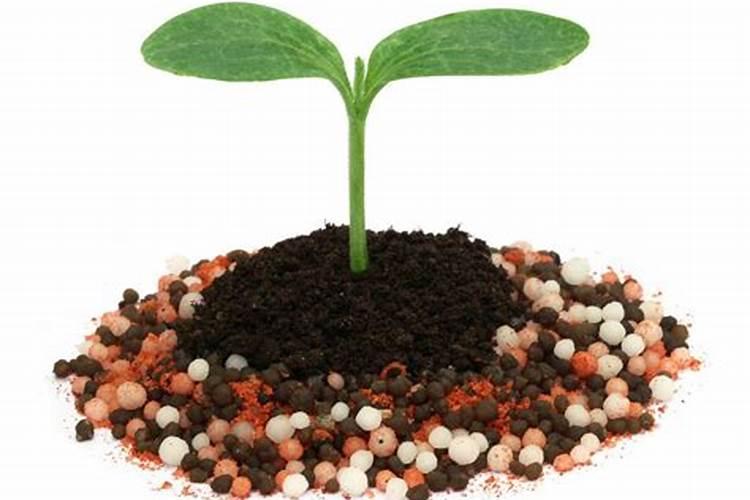 钾肥是什么肥料做成 钾肥有哪几种,主要有哪些种类