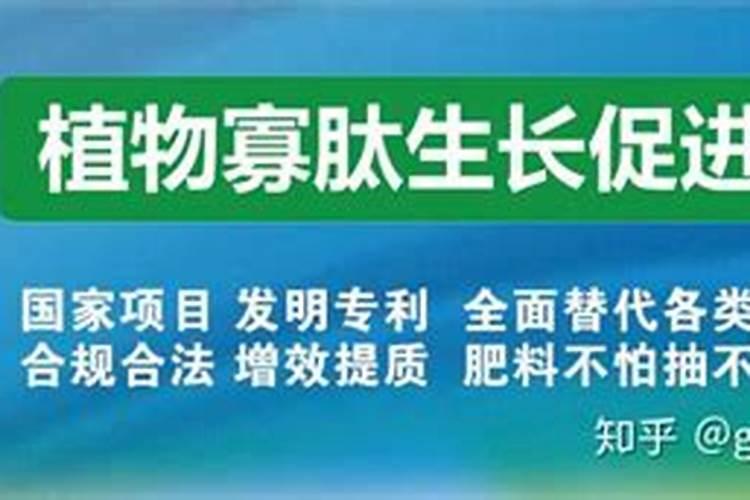 三天绿油油？内行告诉你,这种速效肥料千万别用!