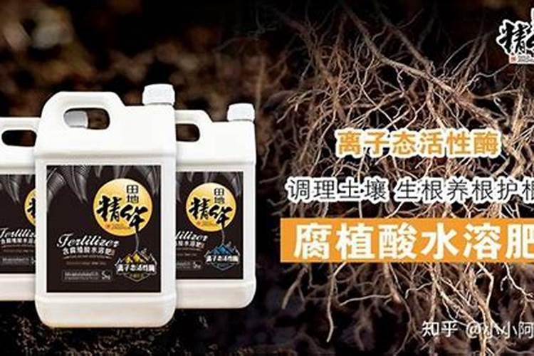 水溶肥能浇绿萝吗