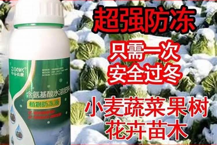 一公斤含氨基酸水溶肥料一喷红打几亩地