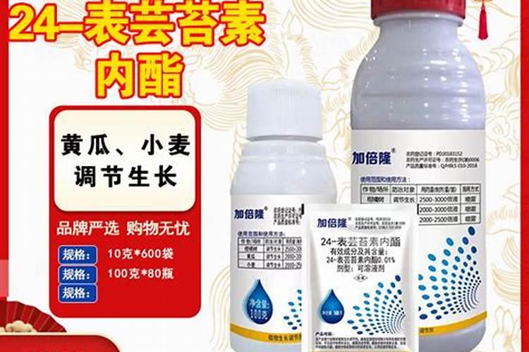 磷酸二氢钾使用得当,促花保果能力加倍,有几点需要注意
