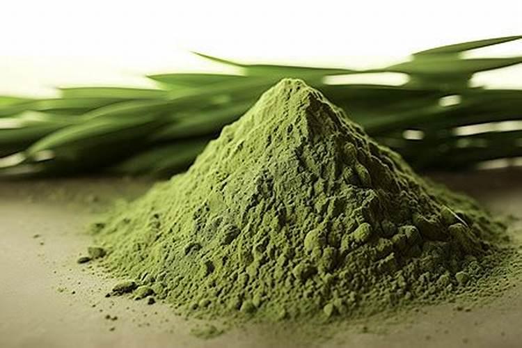 海藻有机肥能完全代替化肥用吗？哪个省钱？哪个效果好？