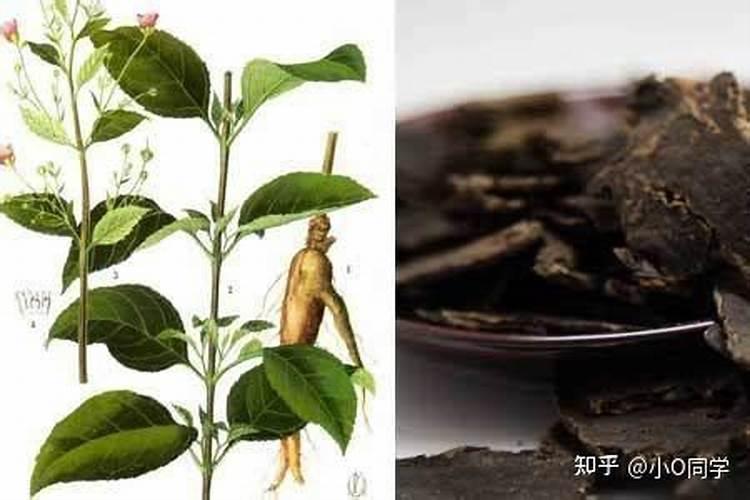 怎么给花补氮肥
