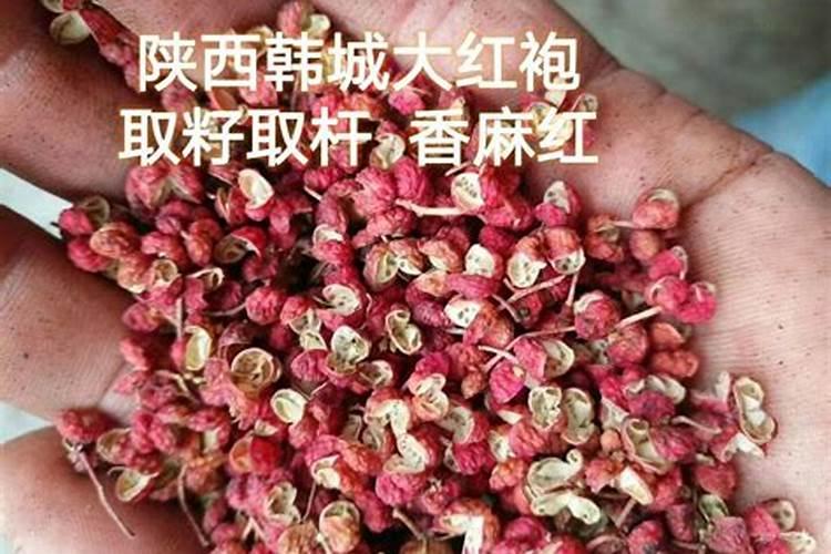 盆栽花椒树冬季施肥方法 花椒越冬肥什么时候施