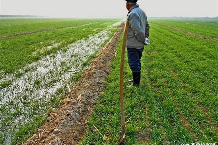 合理施肥的深施肥料