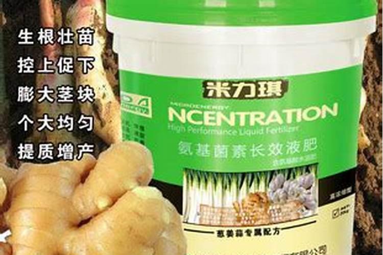 生姜专用水溶肥有哪些
