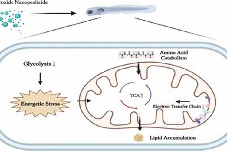 氢氧化铜的颜色是什么