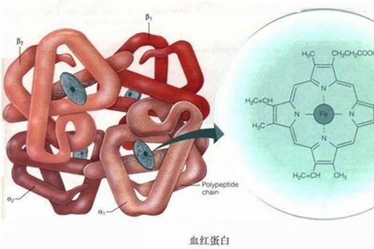 玉米茎杆发黑是什么原因？