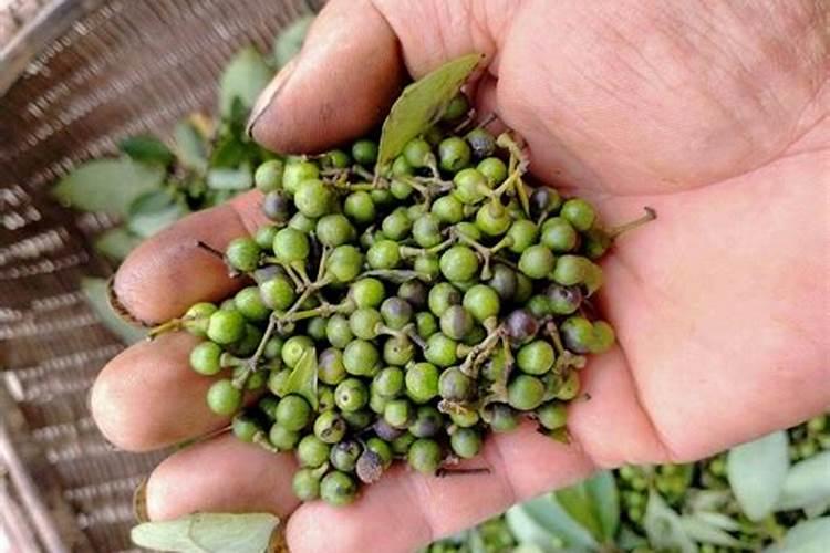 膨果期使用高钾肥越多越好吗？