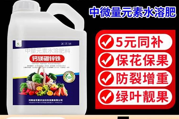 果树怎么施水溶肥？