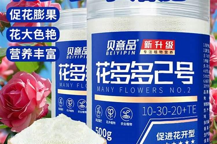 【碳哥课堂】种月季用什么样的水溶肥好？