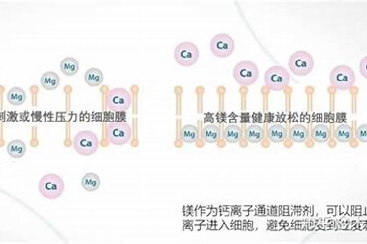 中量元素肥料常用品种有哪些？