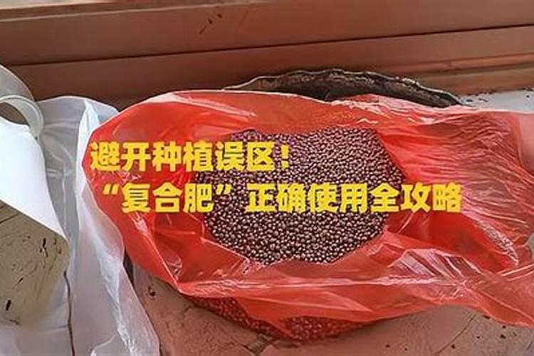 种菜复合肥怎么使用正确 多久施一次