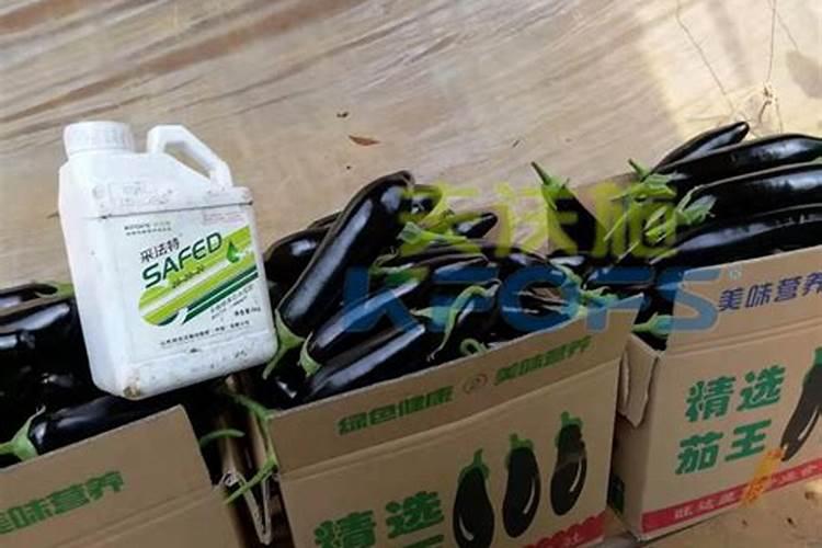 广东福利龙控释肥怎么样