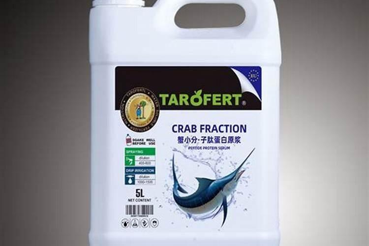 日照的海产品有哪些