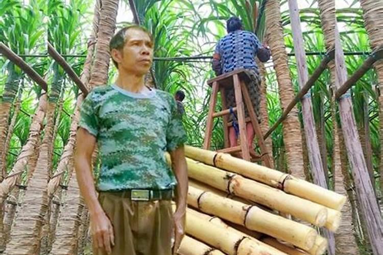 硅肥的施用范围？