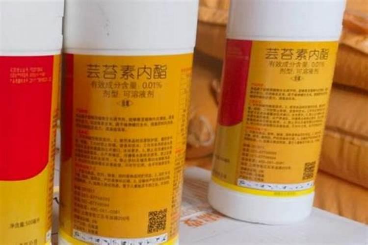 “万能”的芸苔素内酯,你用对了吗？附最全使用方案