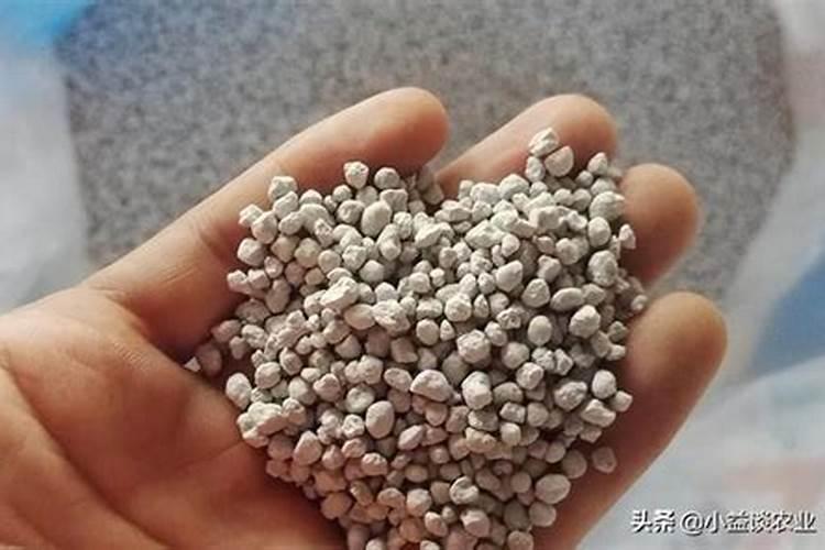 化肥过敏怎么办