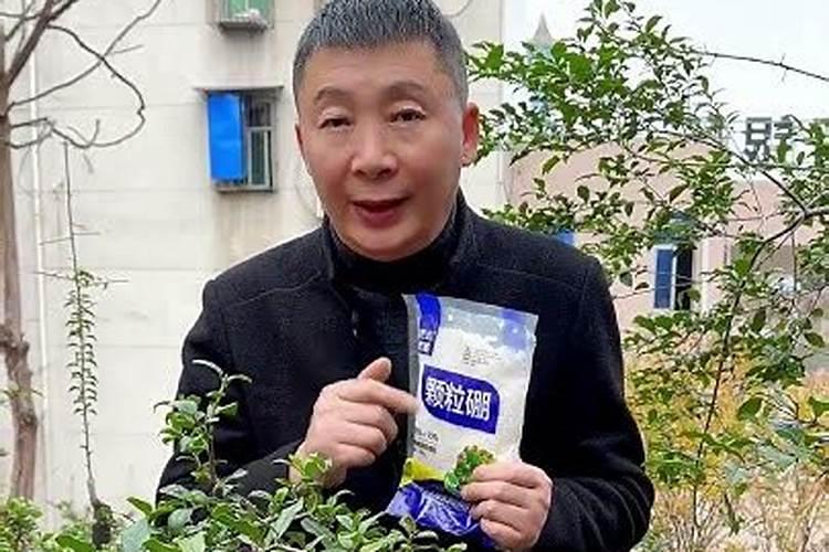 金弹子什么时候使用液体硼