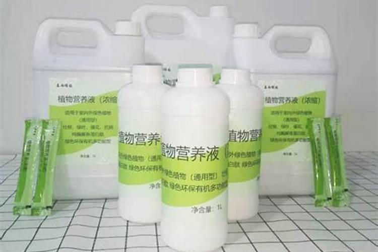 30斤鱼蛋白灌根最佳方法