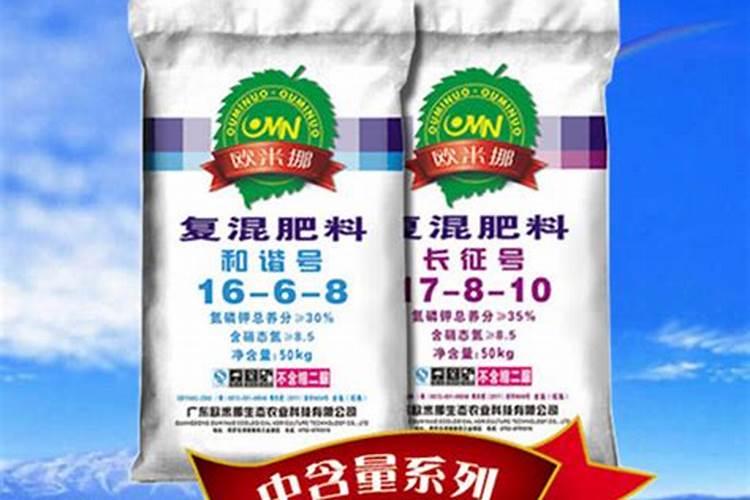 四季豆的正确种植方法是什么