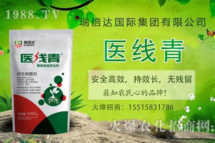 如何使用叶面肥效果好？ 40%超强氧乐果专业防治蚜螨效果好