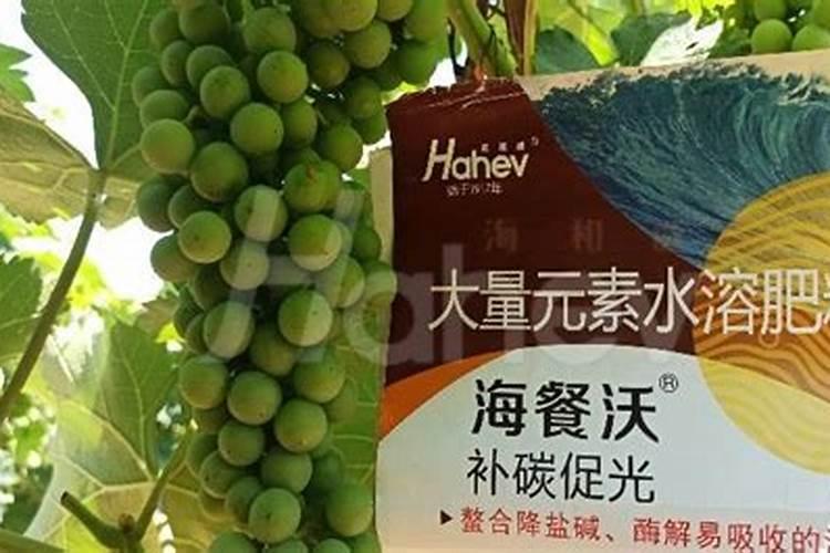 葡萄施什么肥料好