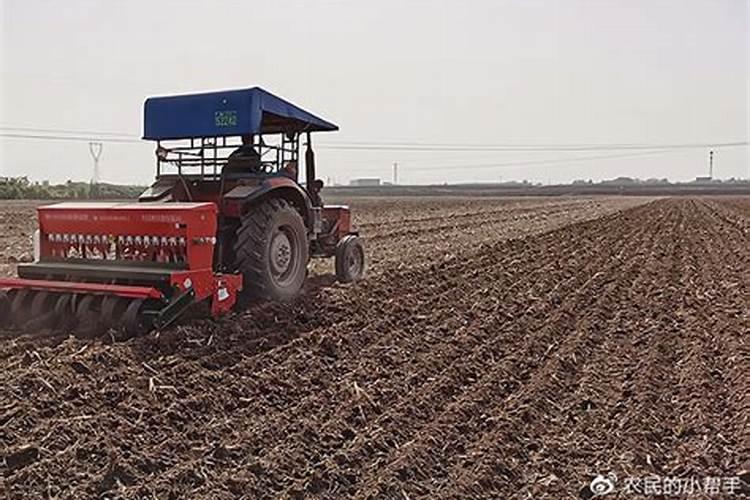 怎么用氮磷钾施肥效果好