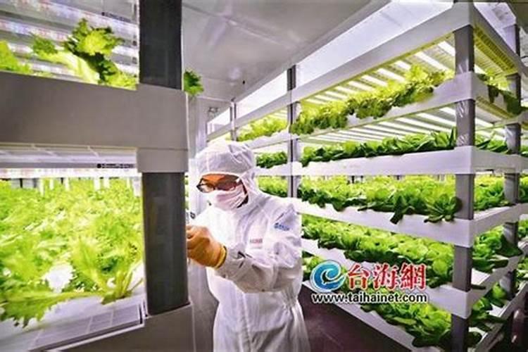 益施帮叶面肥最大用量是多少