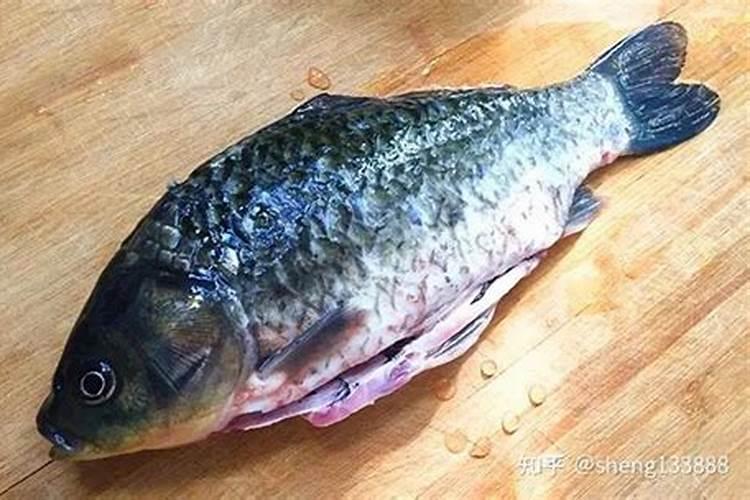 当自制鱼蛋白有氨气出现时要如何应对