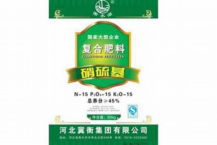 金桔施什么肥最好