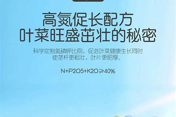 甜菜生长什么时候施中量元素肥